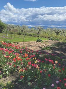 Local gardens receive praise