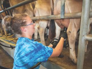New fund available to dairy workforce