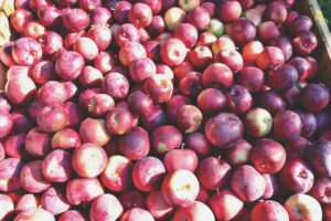 Press apples for cider at historic site