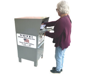 What to do with ballot that came in the mail