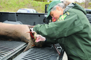 Rifle season to open Nov. 16