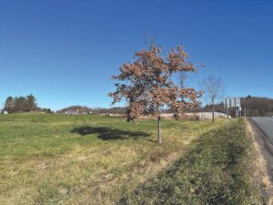 Ferrisburgh grain center moves ahead