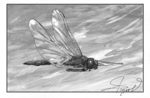 The Outside Story: Autumn migration: Dragons on the move