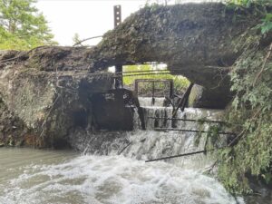 Removal of old dam seen as ecological plus
