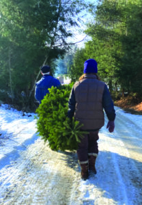 Purchase a permit to cut a tree in the national forest