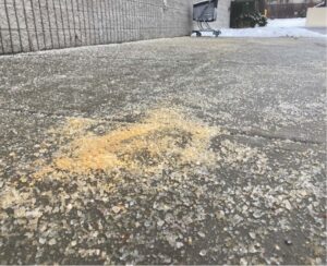Community Forum: Consider a low-sodium approach to snow removal