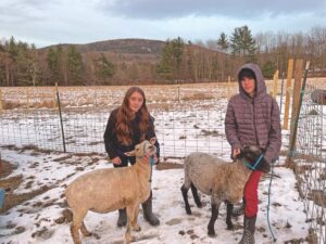 Young shepherds become heritage breed ambassadors