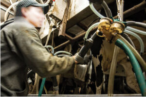 Trump’s deportation plans spark fear for Vt. farms, local workers