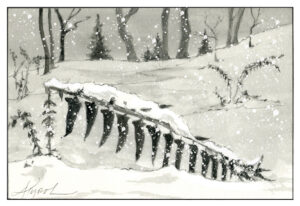 The Outside Story: The evergreen Christmas fern