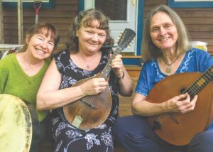 Live music comes to local libraries, January through May