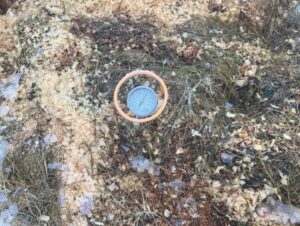 Ask a Master Gardener: How to compost in winter