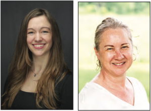 Three vie for MAUSD board seats in Bristol