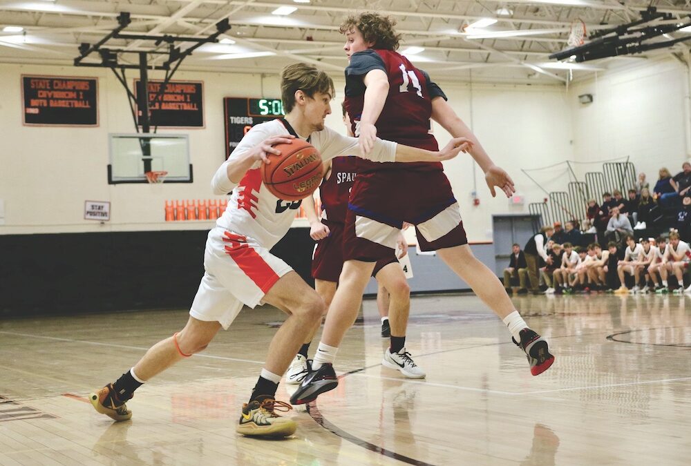 Tiger boys’ hoop nabs playoff win