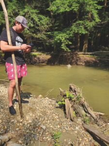 Japanese knotweed removal program successful
