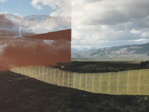 Beyond Walls: Artworks made during Trump’s presidency