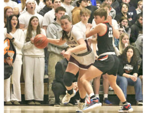 Local girls hoopsters earn all-star nods