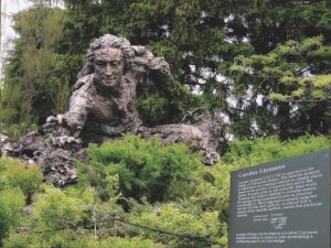 Ask a Master Gardener: Carl Linnaeus, father of taxonomy