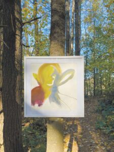 Take a hike to see ‘Art on the Trails’ in Middlebury
