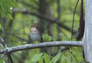Matthew Dickerson: Outdoor opportunities are endless