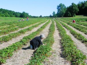 Community Forum: Protecting SNAP protects farmers
