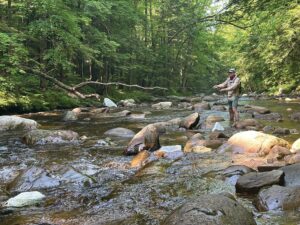 Matthew Dickerson: Intrepid anglers love to go ‘blueing’