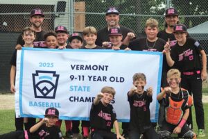 County All Stars take state Little League title, head to regional tourney