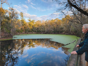 Ruminations on the Run: Checking out Florida in an Airstream