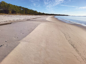 Ruminations on the Run: Remembering The Forgotten Coast