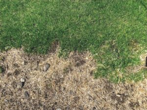 State cautions: high fire danger due to drought
