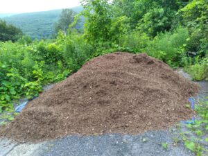 Ask a Master Gardener: Summer gardening tips