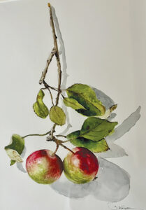 Ripton artist opens exhibit at Charlotte library