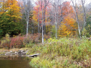 SpIN into the autumnal equinox