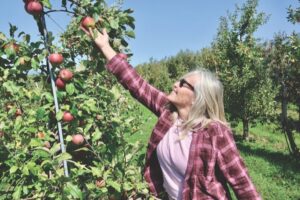 Local orchards have lots to offer despite drought