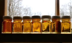 Local sugarmakers see slow start to season, hope to finish strong
