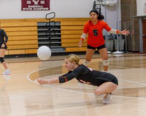 Tiger volleyball tops scrappy Eagles