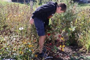 Bridort youngsters get hand-on learning about gardens and plants