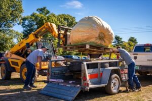 Giant pumpkin squashes past record at Vermont weigh-off