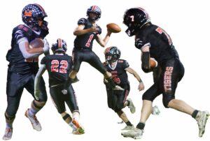 Convincing win paves way for Tiger football to claim top seed