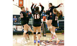 Tiger volleyball reaches semifinals