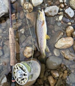 How to spend an autumn afternoon on an Addison County river