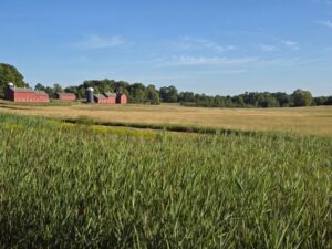 Conservation speed dating supports landowners