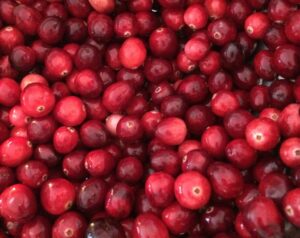Get to know the cranberry