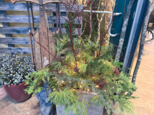 Holiday decorating, naturally