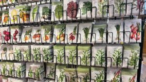 Ask A Master Gardener: Can old seeds still grow?