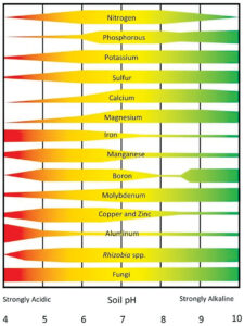 Ask A Master Gardener: Garden Health And Soil pH