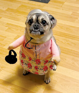 Hi, my name is Junie!