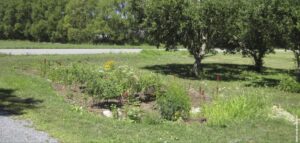 Lewis Creek Association offers tips for improving water quality