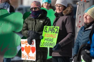 Is ‘Fix Our Forest Act’ a fix or a free pass for loggers?