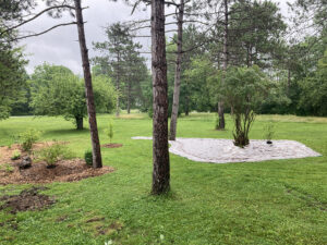Ask A Master Gardener: Sheet Mulching For Lawn-To-Garden Conversion