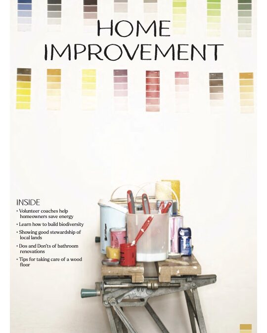 Home Improvement 2026